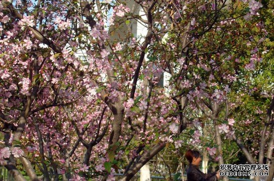 重庆医药科技学校寝室宿舍条件与学校食堂环境