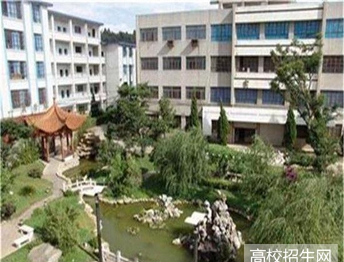 护理专业 护理专业