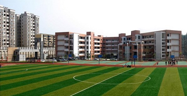 学校
