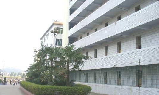 学校