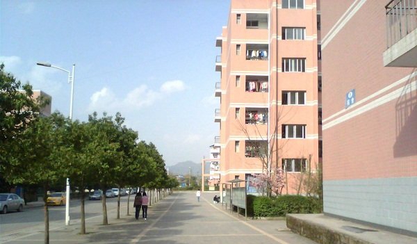 学校